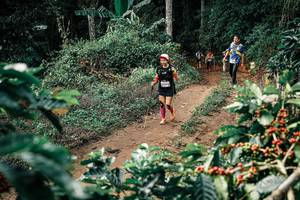 BIB: 
                            <button type="button" onclick="openModal(25856264)" class="btn btn-primary btn-sm float-right btn-popup" data-toggle="modal" data-target=".modal-high-quality">
                        <i class="fas fa-shopping-cart"></i> Add to Cart
                    </button>
                                            <button type="button" onclick="isThisMe(25856264, true)" class="btn btn-success btn-sm float-right btn-popup btn-isme hidden" data-toggle="tooltip" data-placement="bottom" title="นี่คือรูปของคุณใช่ไหม คลิกที่นี่เพื่อเอาเข้าอัลบั้ม">
                        <i class="fas fa-plus"></i> Add to album
                    </button>
                    <button type="button" onclick="isThisMe(25856264, false)" class="btn btn-warning btn-sm float-right btn-popup btn-isnotme hidden">
                        <i class="fas fa-ban"></i> Remove from album
                    </button>